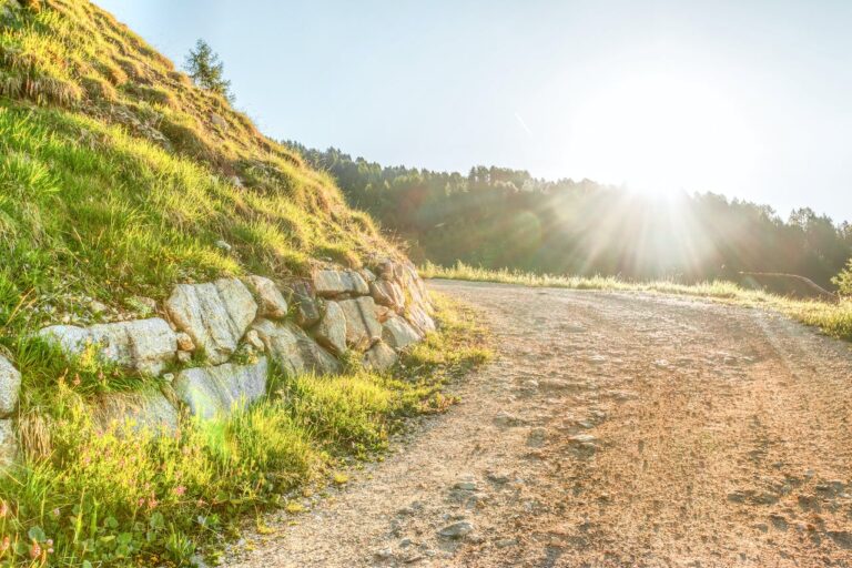 A D-vitamin szerepe az egészség megőrzésében