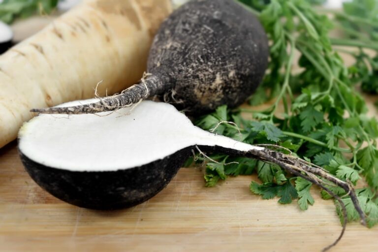 Feketeretek: A titkos szuperélelmiszer gazdag tápanyagtartalommal