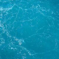 Illusztráció: Engin Akyurt