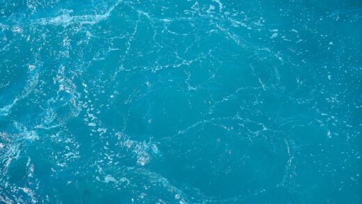 Illusztráció: Engin Akyurt