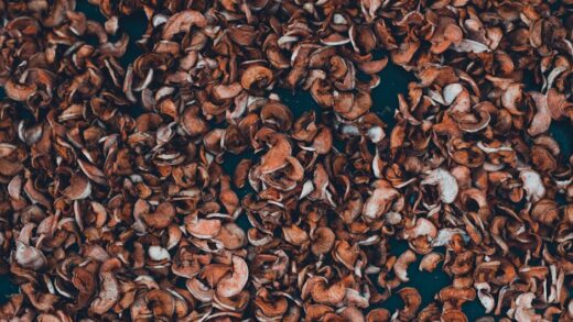 Illusztráció: pasha kres