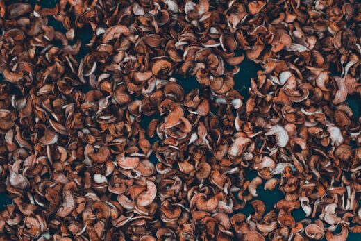 Illusztráció: pasha kres