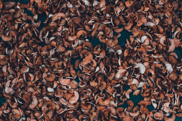 A komposzt nem bűzlik: Így csinálj aranyat a zöld hulladékból