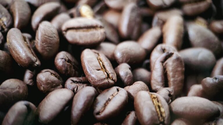 Az íz terroirja: Miért nem elég a génkalória a prémium élményhez?