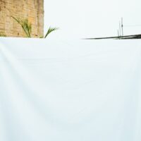 Illusztráció: Laura Oliveira