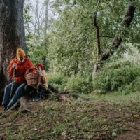 Fotó: cottonbro studio, Forrás: Pexels