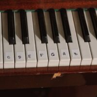 Illusztráció: cottonbro studio