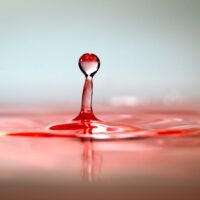 Illusztráció: Quang Nguyen Vinh