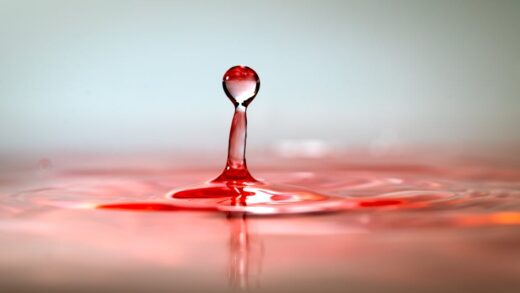 Illusztráció: Quang Nguyen Vinh