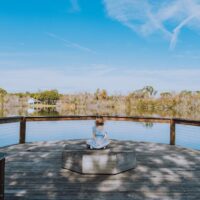 Illusztráció: Connor McManus