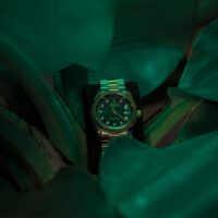 Illusztráció: Deyaar Rumi