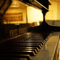 Illusztráció: Bruno Cantuária