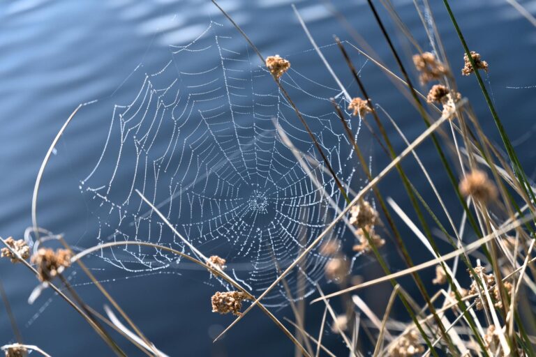 Tényleg csodákra képes a tavaszi csalánkúra a fáradtság ellen?