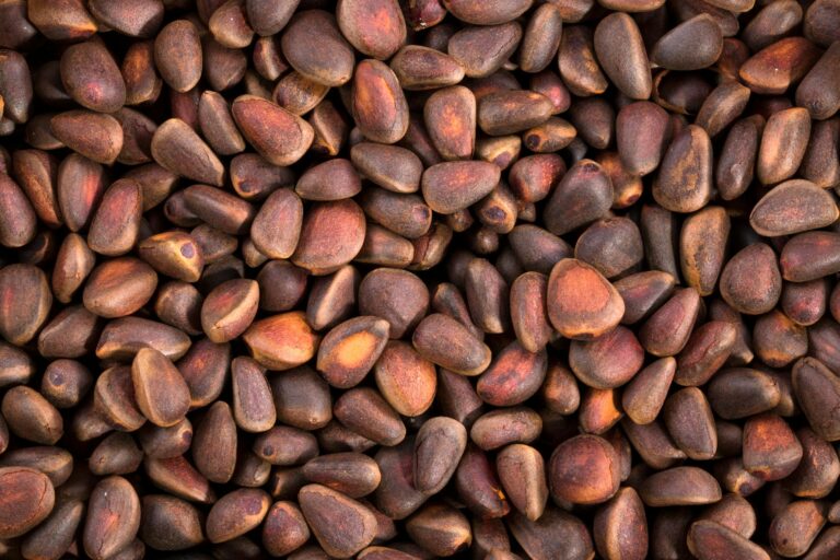 Miért érdemes sokkal több diófélét és olajos magvat csempészni az étrendünkbe?