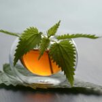 Miért érdemes rendszeresen beiktatni egy kiadós csalánkúrát az életünkbe?