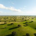 Érdemes elhagyni a turisták által ellepett lisszaboni utcákat a vidéki Portugália békéjéért